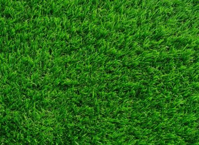 Ultra Green​
